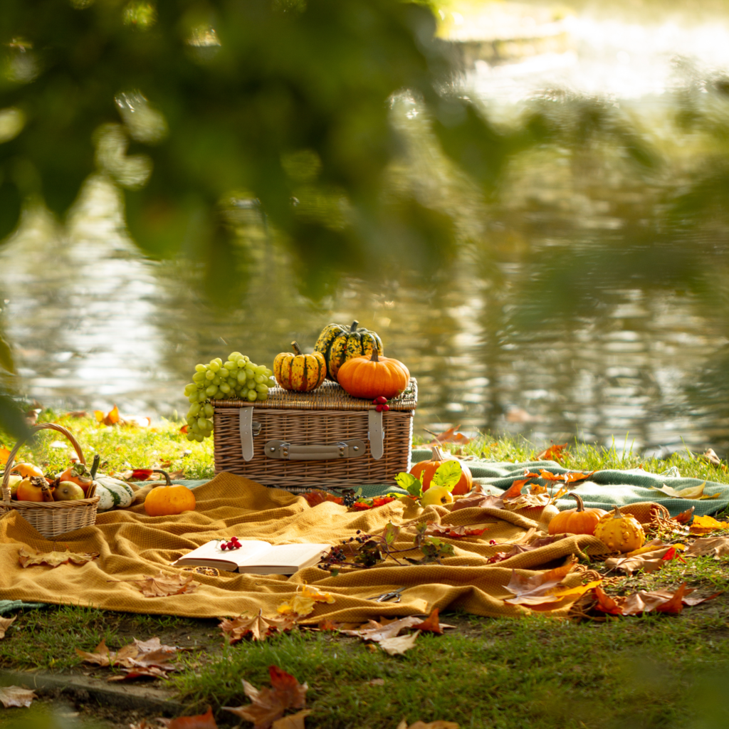 PicNic – Bosque 1380